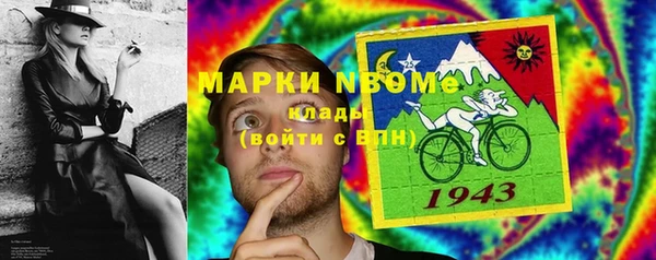 метадон Алексин