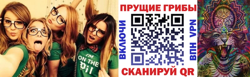 купить  сайты  Шарья  Галлюциногенные грибы мицелий 