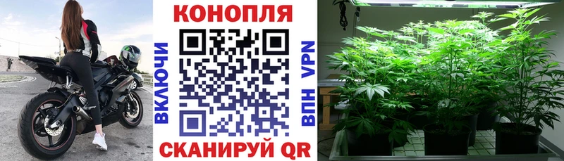 Бошки Шишки план Шарья